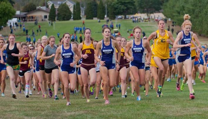 Mauer Leads Women's Cross Country at Blugold Invite