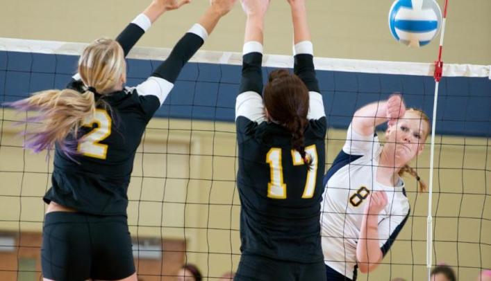 Volleyball Snaps Seven Game Win Streak, Suffers Two Losses