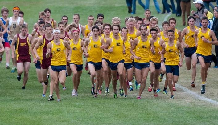 Men's Cross Country Takes Second in River Falls