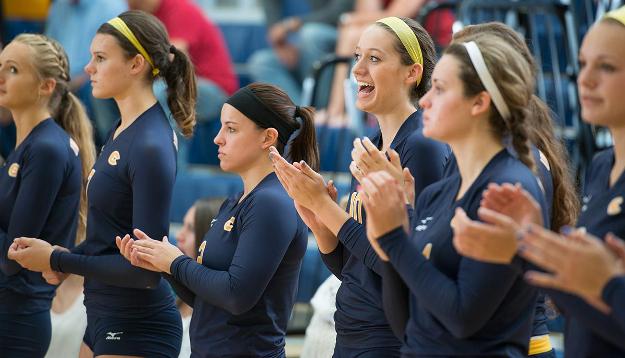Volleyball Hangs on to Defeat Falcons
