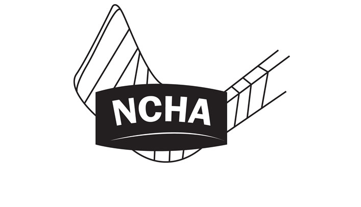 Blugold Women's Hockey Player Emily Larson Honored by NCHA