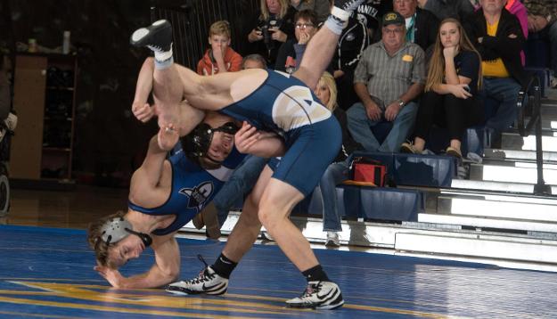 Wrestlers Fall to Luther