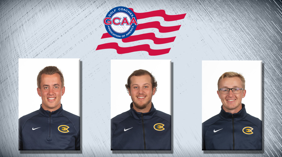 Three Blugolds earn Division III PING All-Region honors