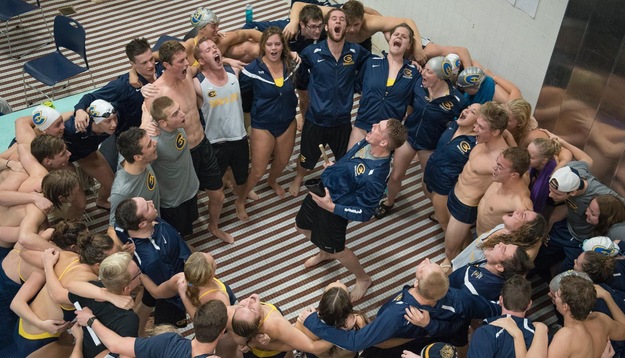 Swimming and Diving dominates Titans