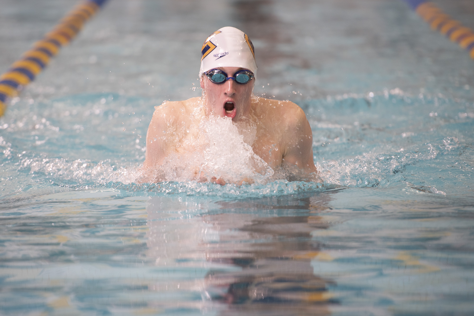 Men and Women's Swim and Dive Dominate in First WIAC Meet
