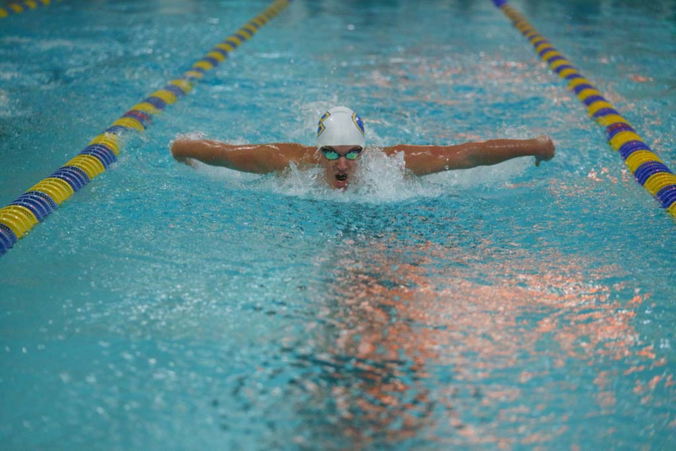 Denner's school record highlights huge day in the pool