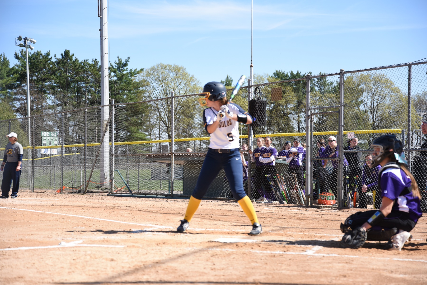 Blugolds Softball Splits with MIAC Opponents to Round out Rochester Dome Tournament