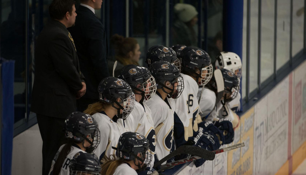 Blugolds skate past Wildcats to end 2016