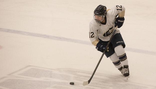 Wittig scores four goals as Blugolds sweep Lions