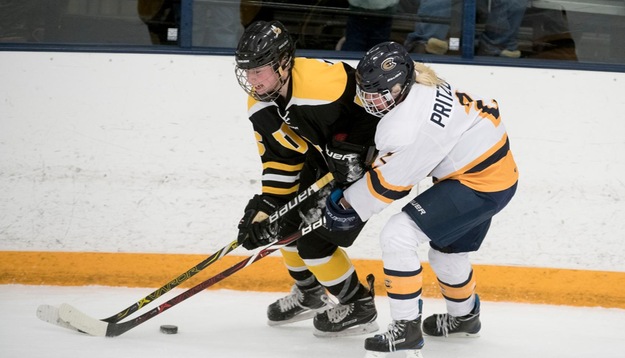 Blugolds skate to tie with Superior