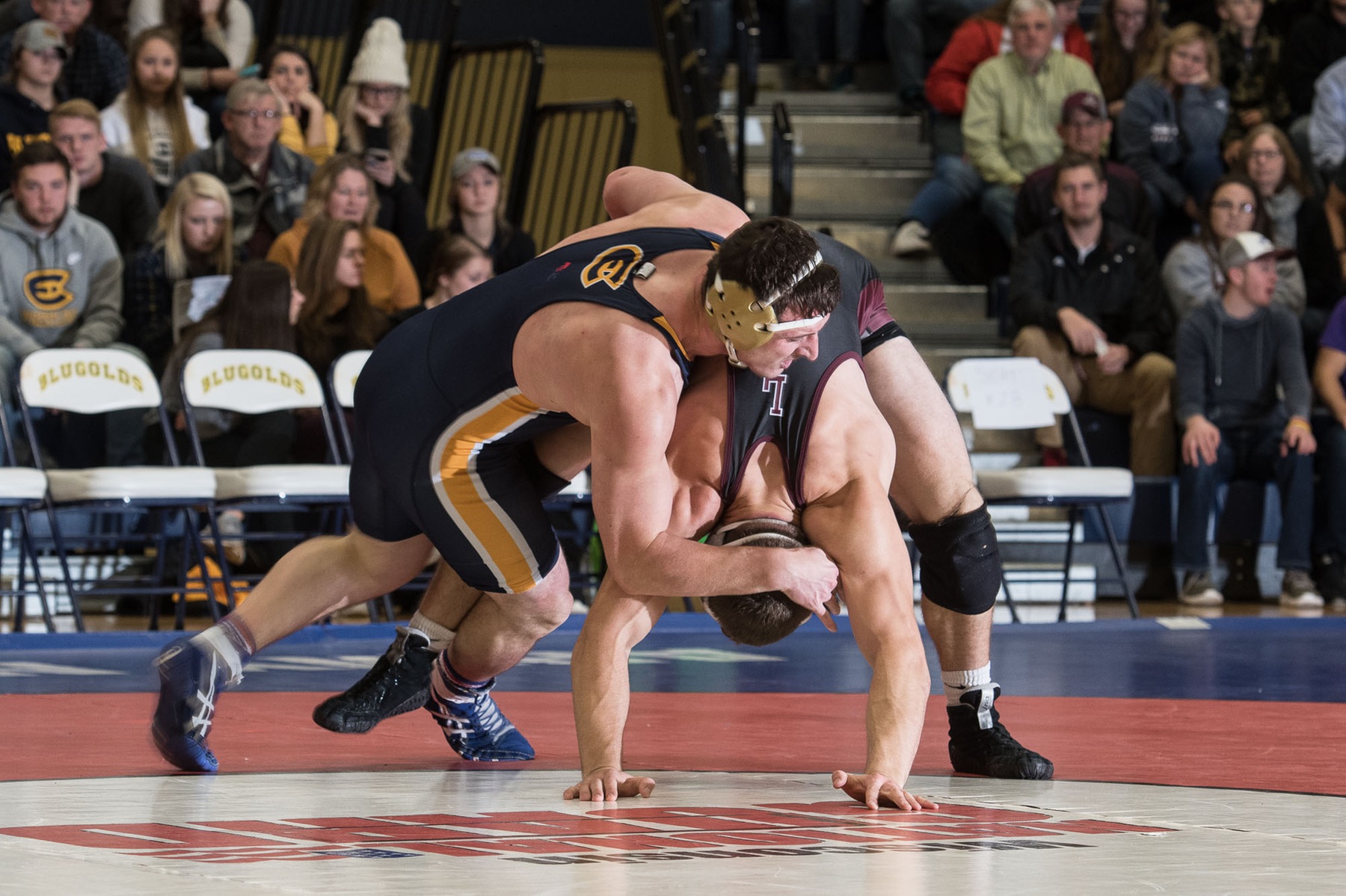 Blugolds get second straight victory over Pointers wrestling