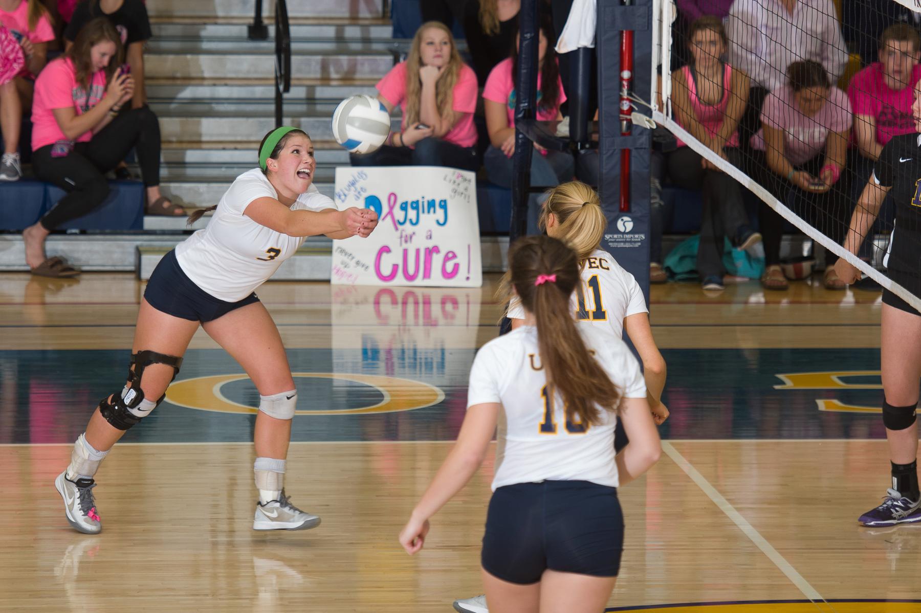 Blugolds Fall Short Against Stout in Five Sets