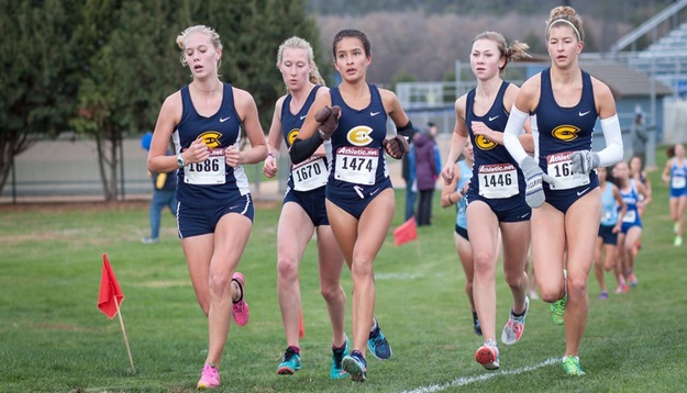 Women’s Cross Country Wins Luther Saga Cup Challenge; Lamack Individual Champion