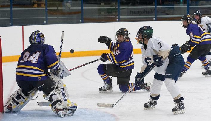 Women's Hockey Shutout on the Road Against Pointers