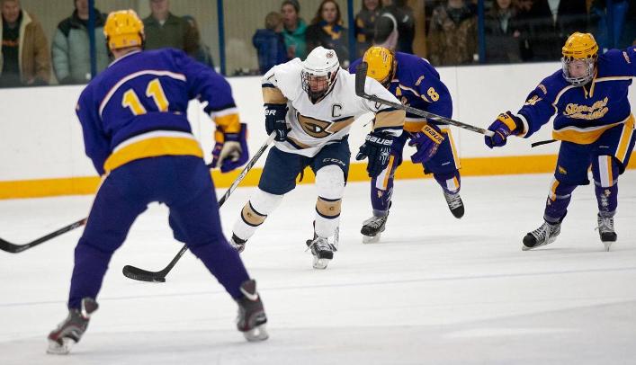 Men's Hockey Suffers Overtime Loss to Pointers