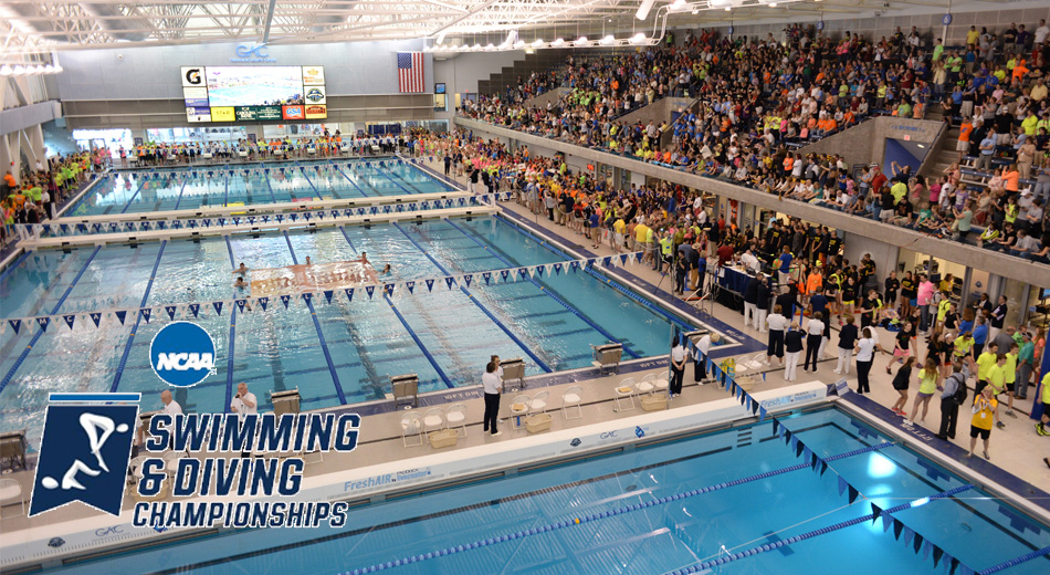 Preview: Blugolds set for 2019 NCAA DIII Swim & Dive Championships