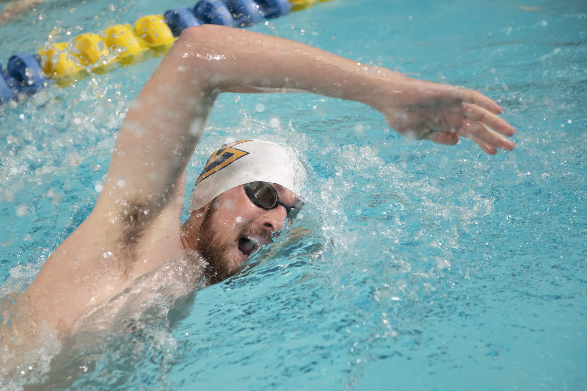 Blugolds shine on Senior Day as they swim past the Eagles