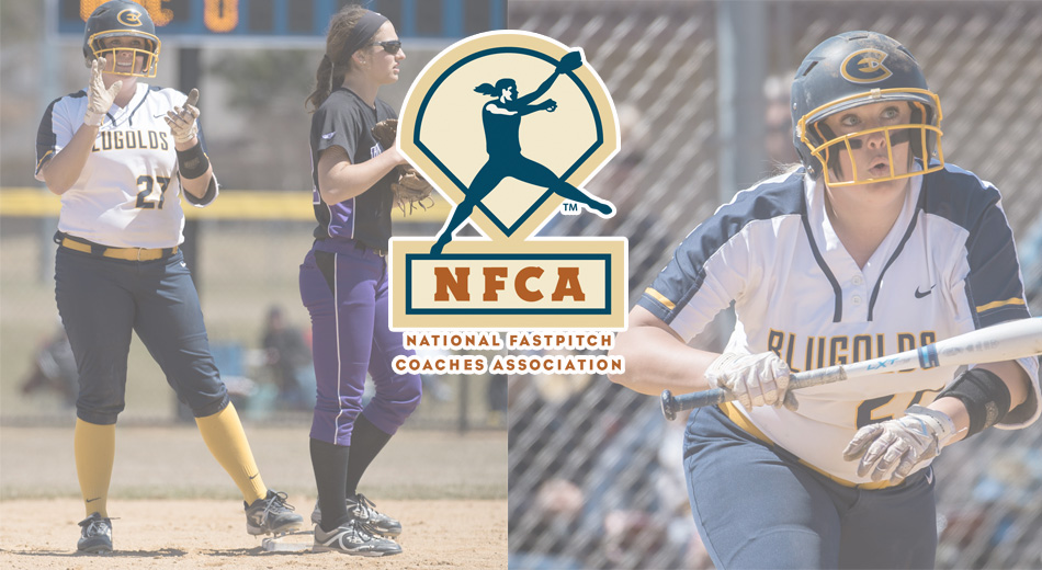 Place earns NFCA All-Region honors