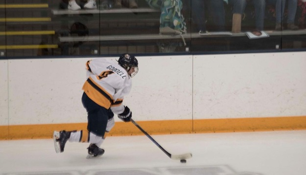 Blugolds skate past Cobbers