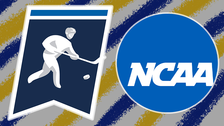 Blugolds back in NCAA Tournament for third straight year