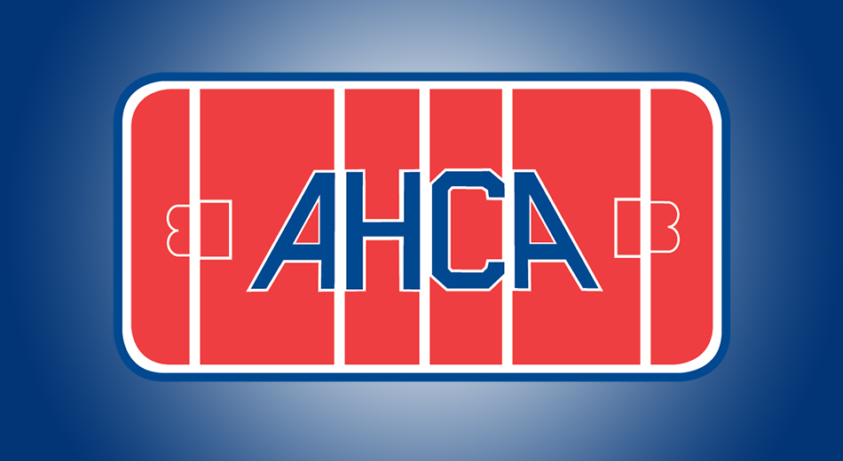 Eleven Blugolds earn AHCA all-academic honors