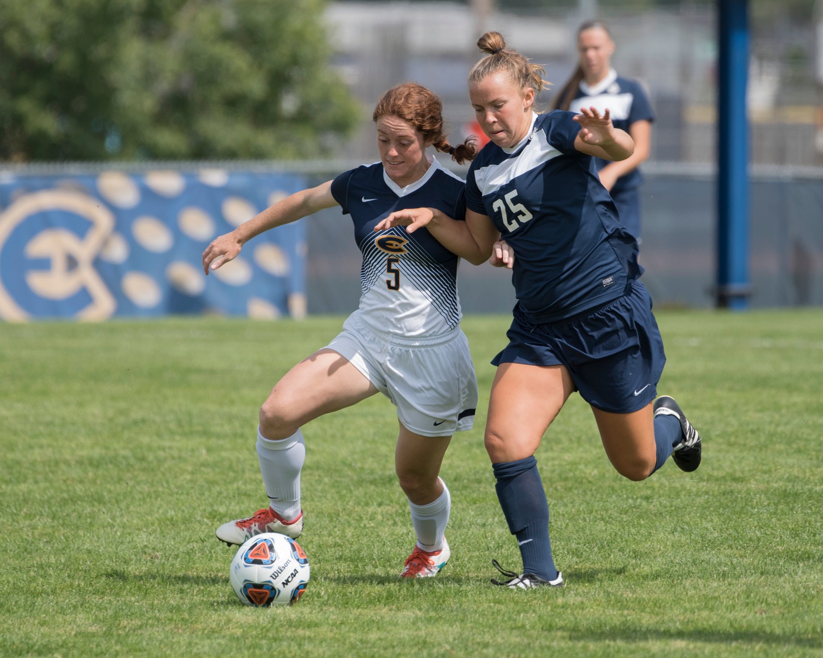 Blugolds draw with Pointers
