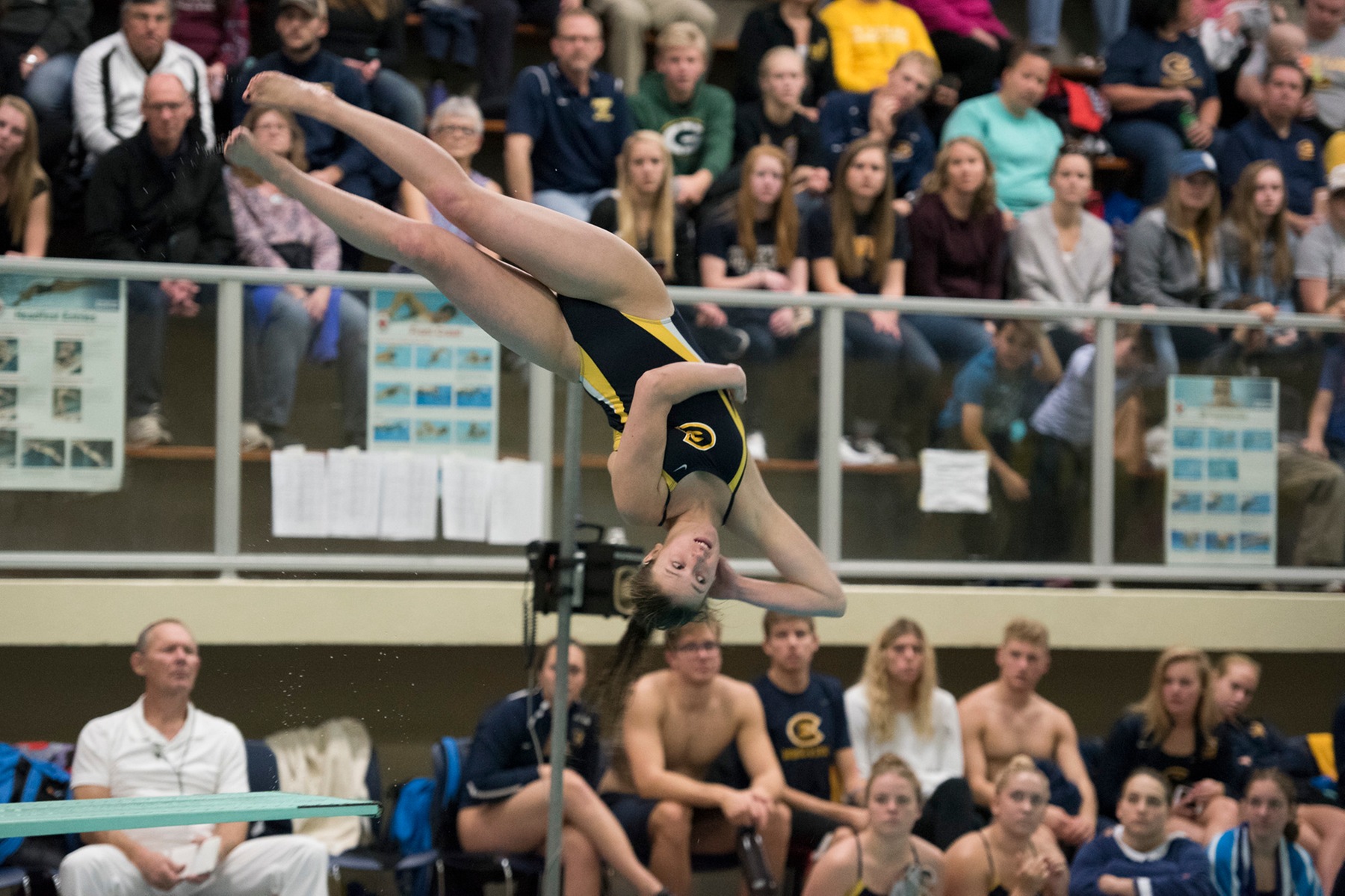 Blugold Swimming & Diving takes down Warhawks