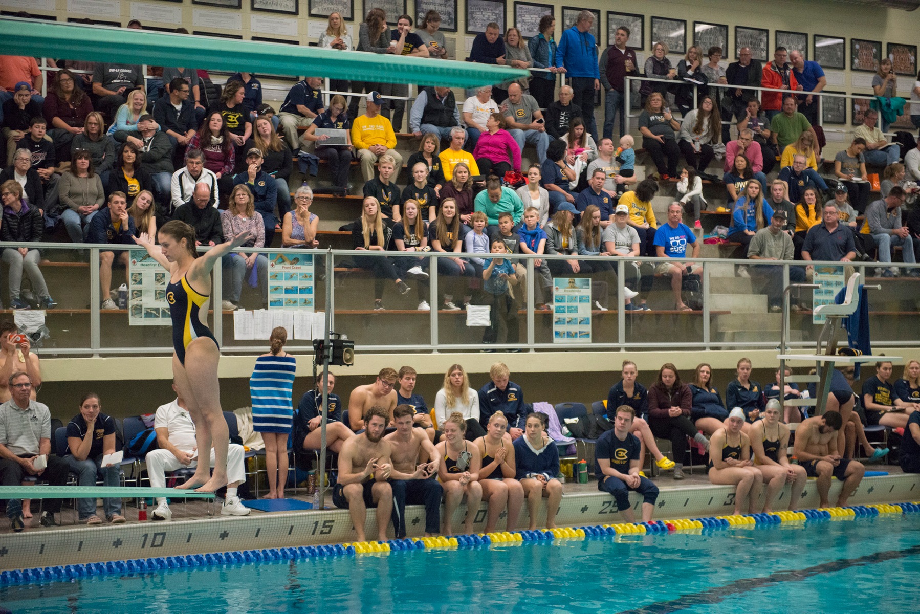 Swimming and Diving announces team awards