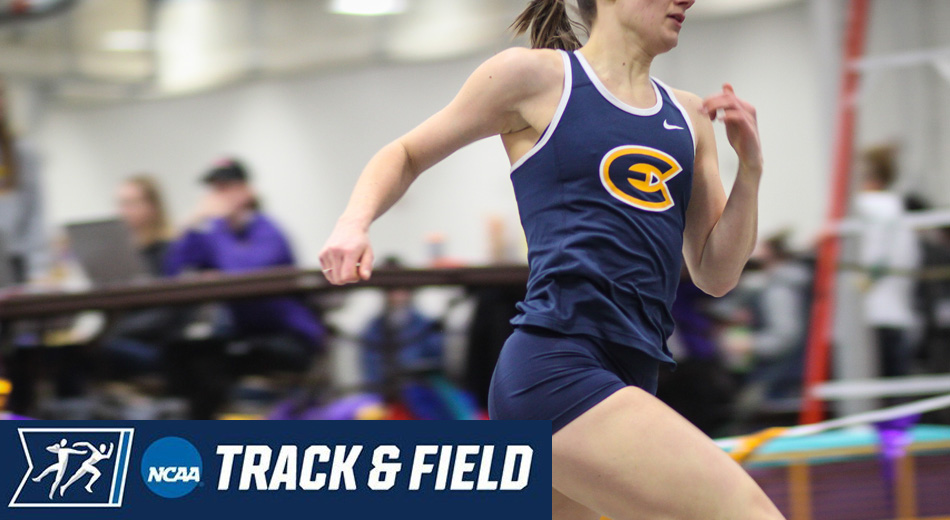 Preview: Blugolds headed for NCAA Indoor Track & Field Championship