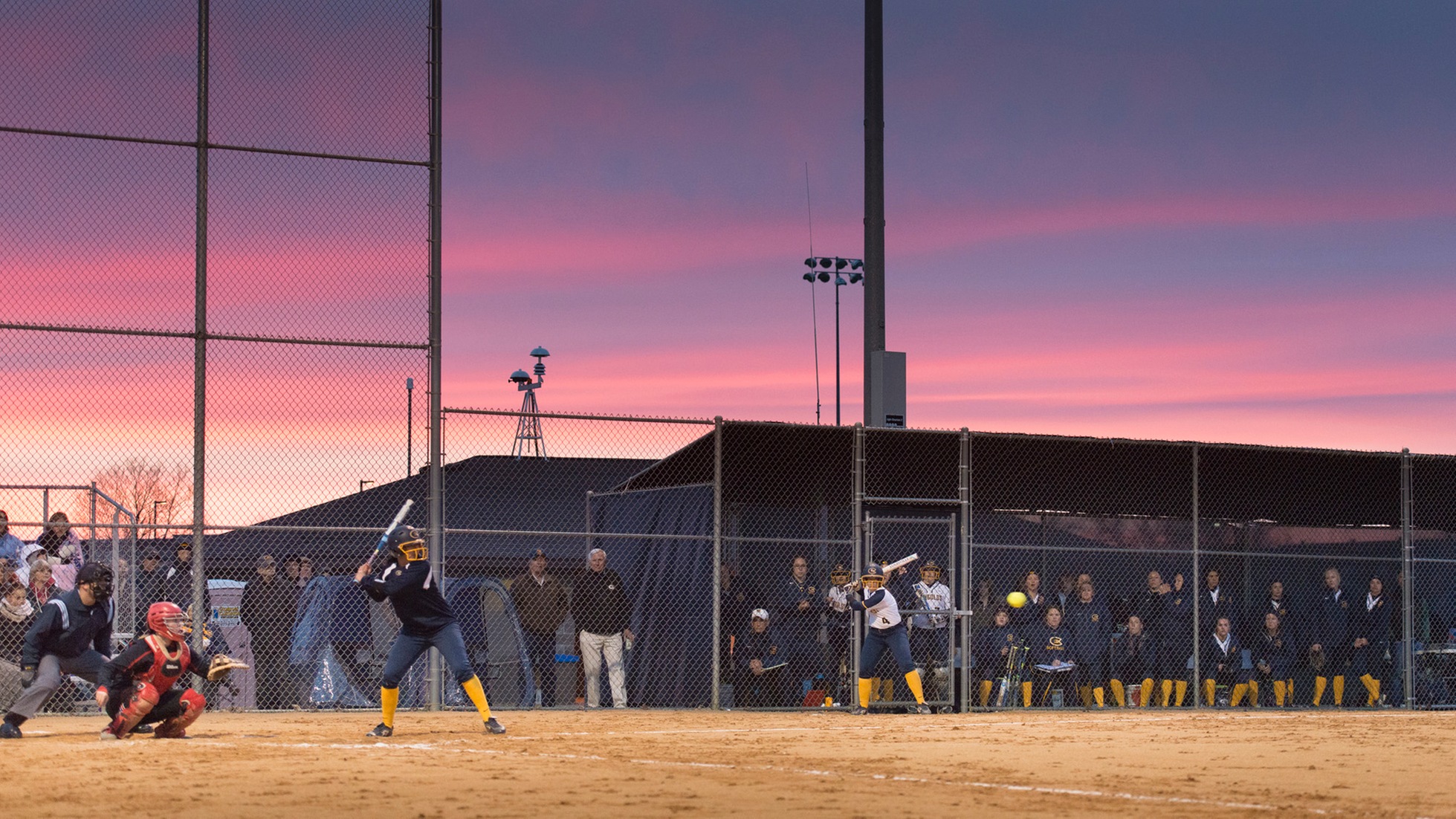 Softball to host Bethel, St. Kate's on Friday and Saturday