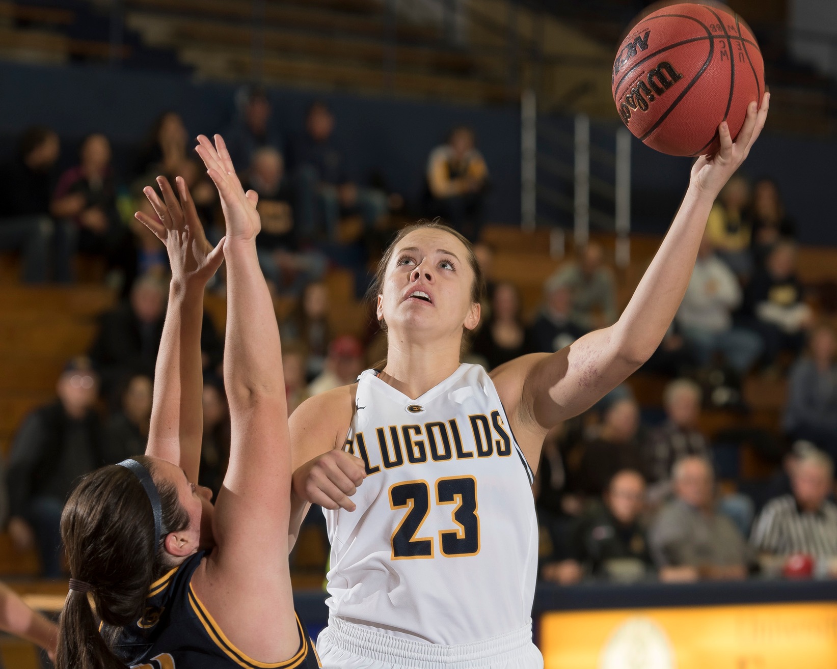 Hoeppner's career night not enough as Blugolds suffer first loss of the season