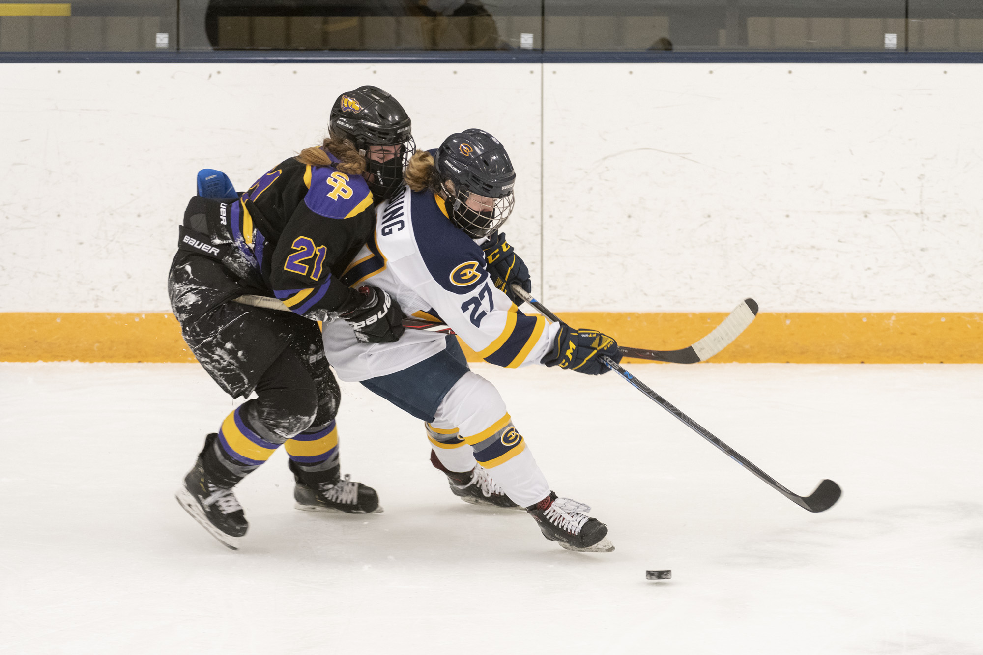 Blugolds skate to a tie with Pointers