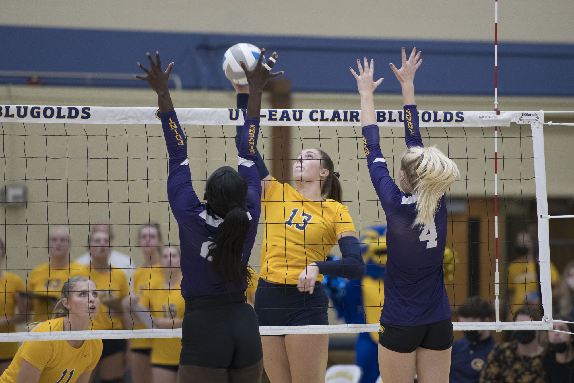 No. 11 Blugolds Sweep No. 21 Pointers at Home